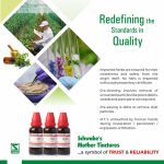 Muira Puama Q Mother (Schwabe ) – যৌন দুর্বলতা ও স্নায়বিক দুর্বলতার প্রাকৃতিক সমাধান - Image 4