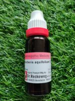 Berberis Aquifolium Mother Tincture Q