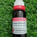 Ginkgo Biloba Q Mother Tincture