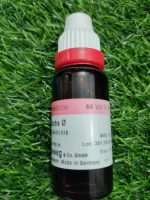 Ginkgo Biloba Q Mother Tincture - Image 2