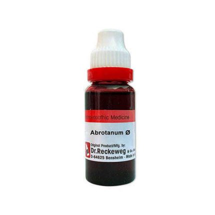 Abrotanum-Q-Mother