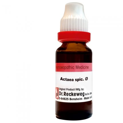 Actea Spicata Q Mother