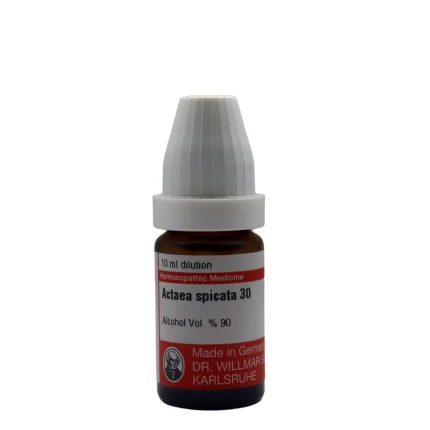Actea Spicata Q Mother