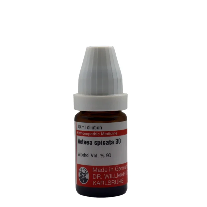 Actea Spicata Q Mother