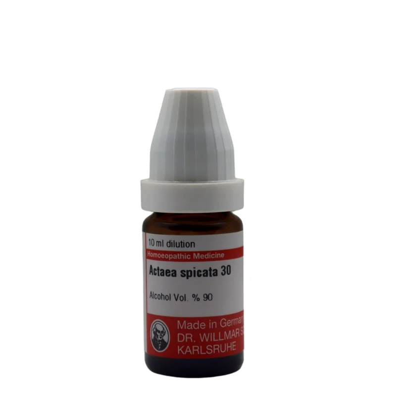 Actea Spicata Q Mother