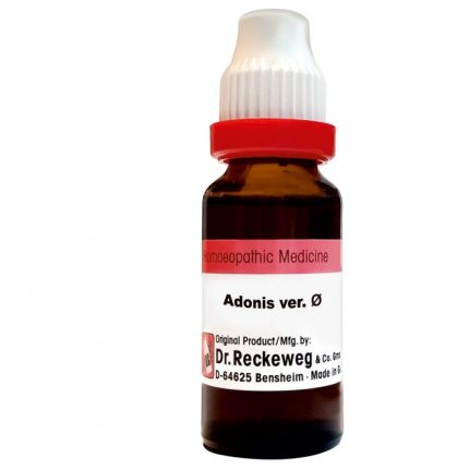 Adonis Ver Q Mother