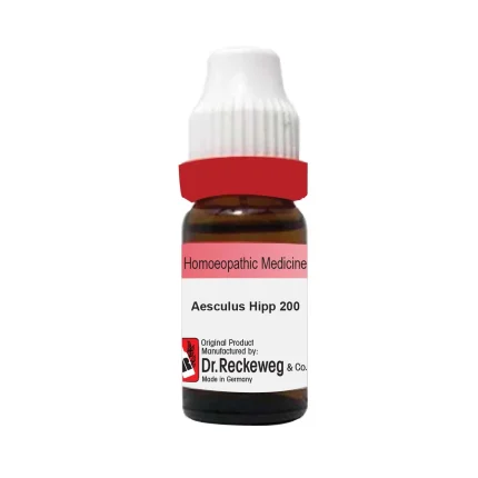 Aesculus Hipp