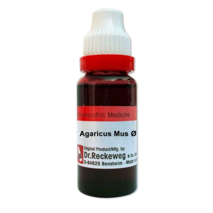 Aesculus Hipp