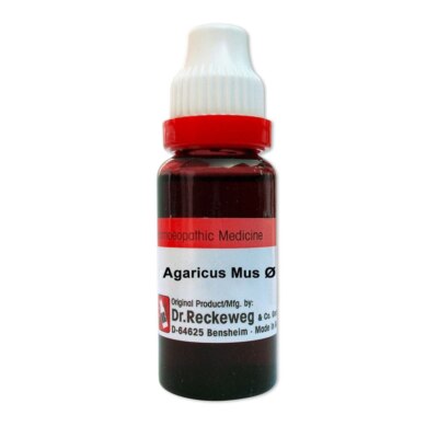 Agaricus Mus Q
