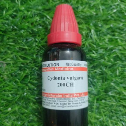 Cydonia Vulgaris 200ch