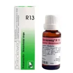 Dr.Reckeweg R13 Drop