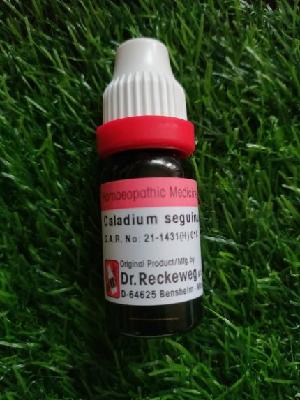 Caladium Seg 200