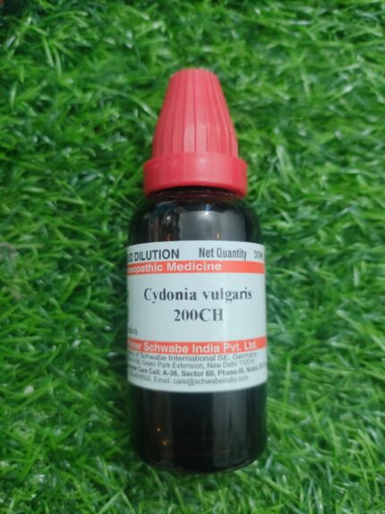 Cydonia Vulgaris 200ch
