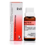 Dr. Reckeweg R41 Drop sexual (weakness treatment)