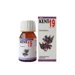 kent 19