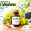The Healing Power of Arnica Montana: Nature's Remedy for Pain and Inflammation