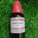 Cydonia Vulgaris Q ( সাইডোনিয়া ভালগারিস কিউ )