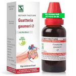 Guatteria Gaumeri Q ( কোলেস্টেরল নিয়ন্ত্রণের হোমিও ঔষধ )